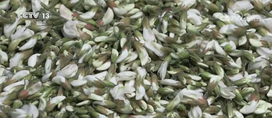 
江苏省人民医院黄牛代挂号电话票贩子号贩子网上预约挂号,住院检查加快,时令“漂亮饭”将生活仪式感拉满 这份春日鲜花入馔指南请收好