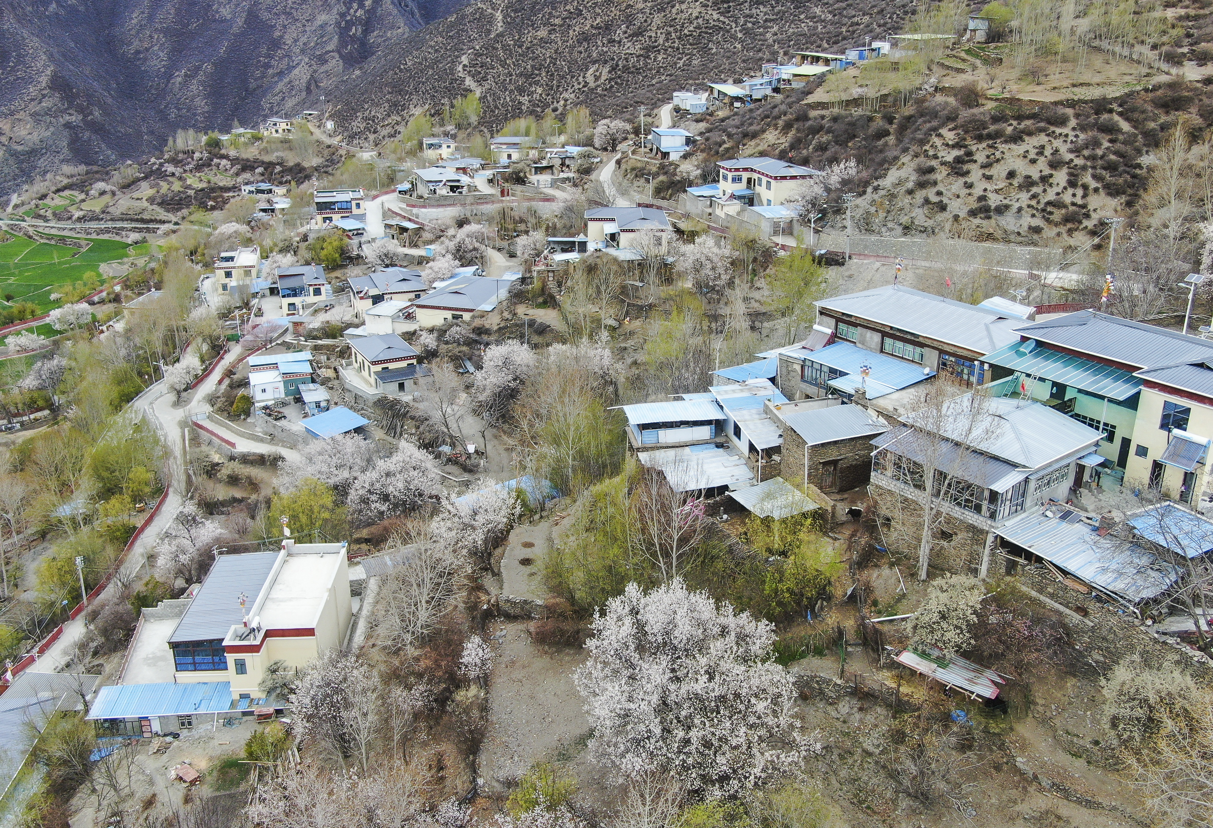 
上海儿童医学中心黄牛代挂号电话票贩子号贩子网上预约挂号,住院检查加快,从“忧居”到“优居”：一栋房子的“革命”
