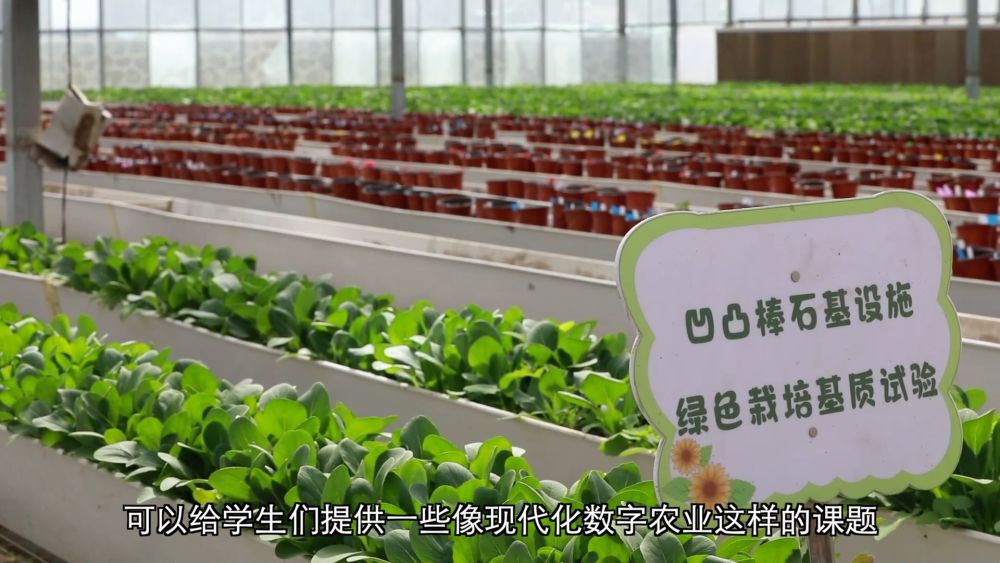 
天津肿瘤医院黄牛代挂号电话票贩子号贩子网上预约挂号,住院检查加快,新华视点｜科技赋能 特色产业助力乡村振兴