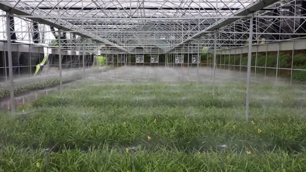 
天津肿瘤医院黄牛代挂号电话票贩子号贩子网上预约挂号,住院检查加快,新华视点｜科技赋能 特色产业助力乡村振兴