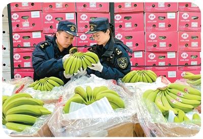 
南京市口腔医院黄牛代挂号电话票贩子号贩子网上预约挂号,住院检查加快,国门动植物检疫为开放护航