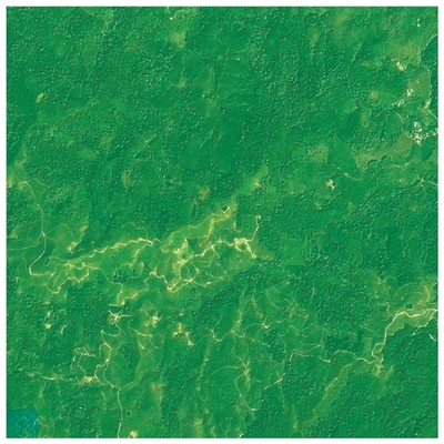 
南京明基医院黄牛代挂号电话票贩子号贩子网上预约挂号,住院检查加快,从三组卫星遥感图看生态保护成效（世界地球日特别报道）