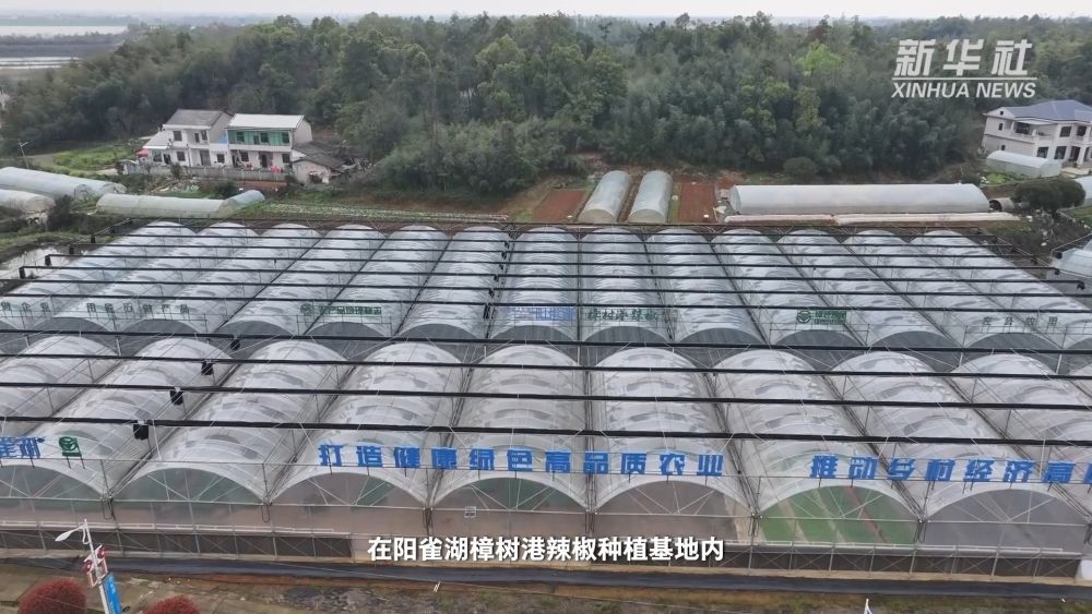 
天津肿瘤医院黄牛代挂号电话票贩子号贩子网上预约挂号,住院检查加快,从车间到新文旅，从实验室到新品牌——新质生产力一线观察