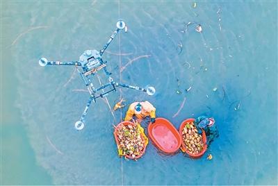 
中山二院黄牛代挂号电话票贩子号贩子网上预约挂号,住院检查加快,低空经济，飞得稳也要用得活