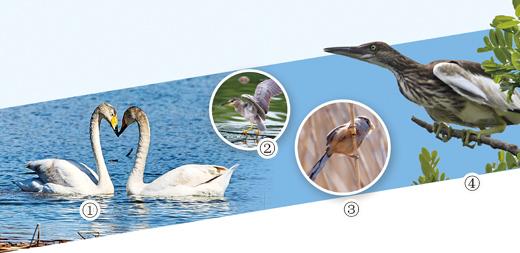 
杭州市一医院黄牛代挂号电话票贩子号贩子网上预约挂号,住院检查加快,当531种鸟类飞过