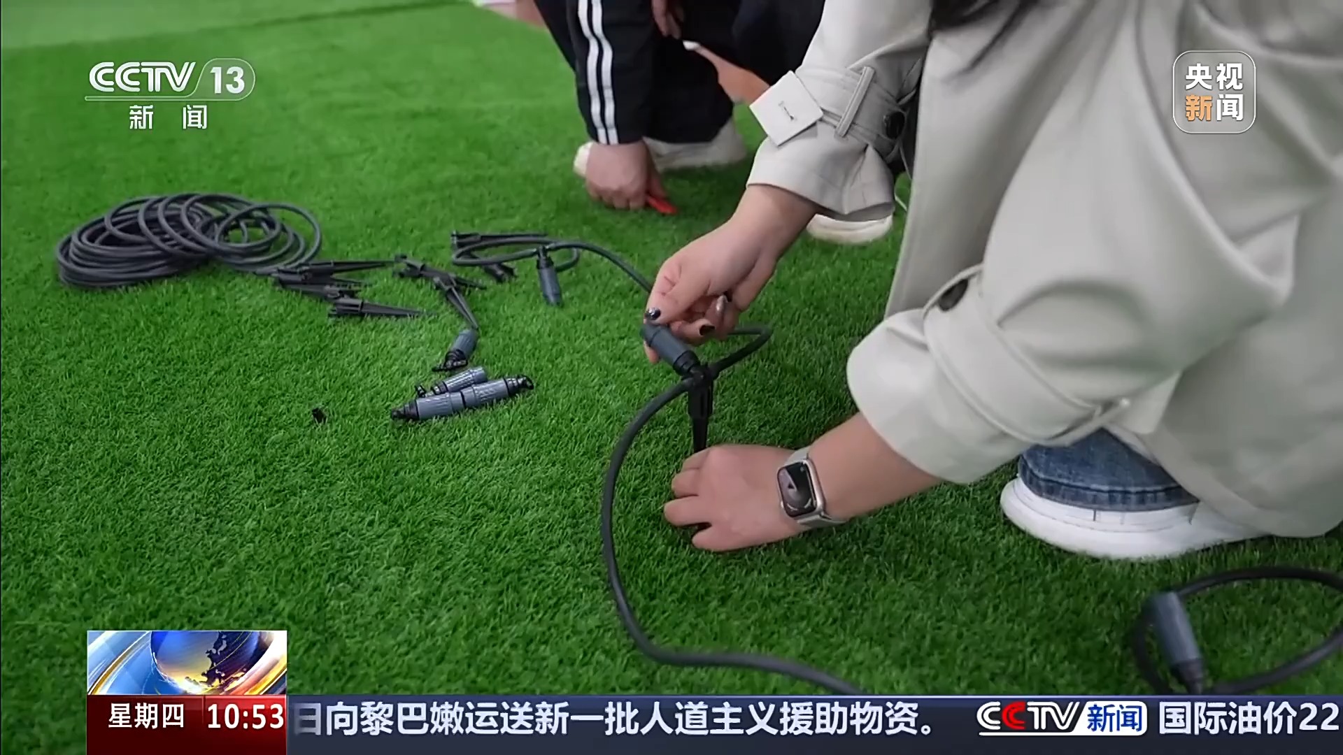 
北京人民医院黄牛代挂号电话票贩子号贩子网上预约挂号,住院检查加快,智能园艺赋能家庭种植 阳台种菜催生现代农业新赛道