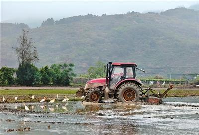 
北医三院黄牛代挂号电话票贩子号贩子网上预约挂号,住院检查加快,农业农村经济保持良好发展势头（锐财经）