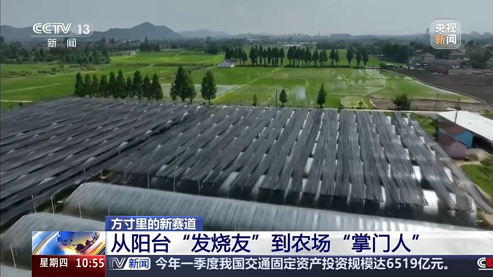 
北京人民医院黄牛代挂号电话票贩子号贩子网上预约挂号,住院检查加快,智能园艺赋能家庭种植 阳台种菜催生现代农业新赛道