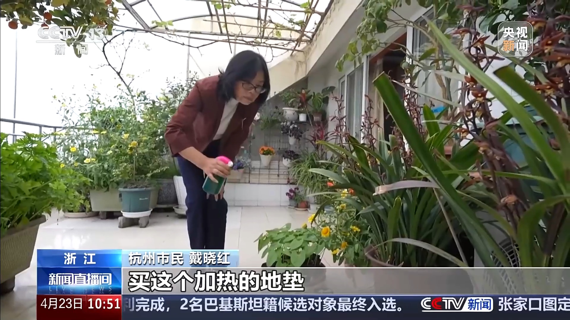 
北京人民医院黄牛代挂号电话票贩子号贩子网上预约挂号,住院检查加快,智能园艺赋能家庭种植 阳台种菜催生现代农业新赛道