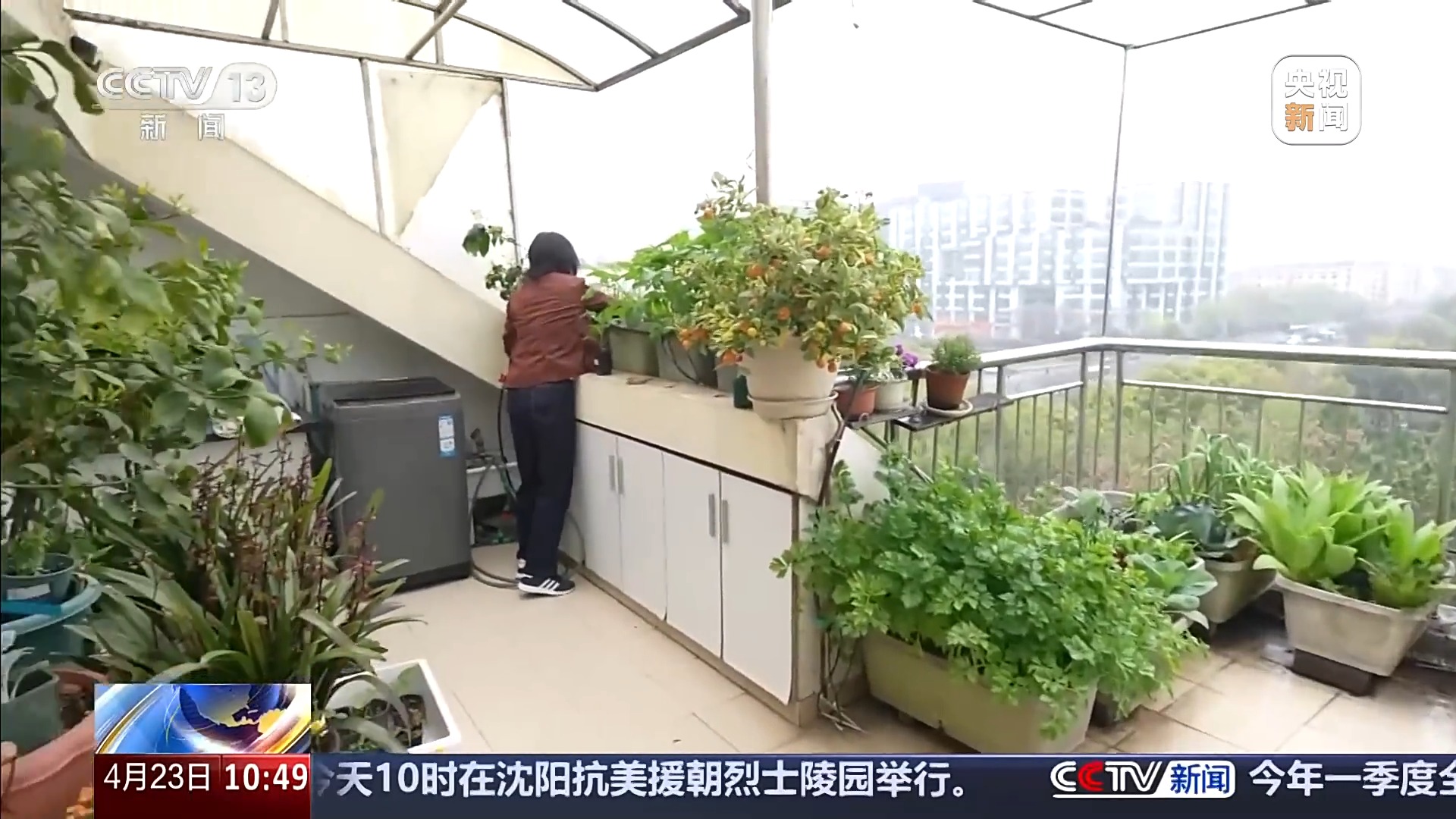 
北京人民医院黄牛代挂号电话票贩子号贩子网上预约挂号,住院检查加快,智能园艺赋能家庭种植 阳台种菜催生现代农业新赛道