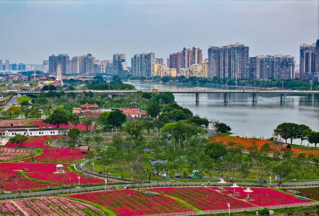 
南京眼科医院黄牛代挂号电话票贩子号贩子网上预约挂号,住院检查加快,经济热点快评｜一季度“国家账本”公布，显现“更加积极”政策效能