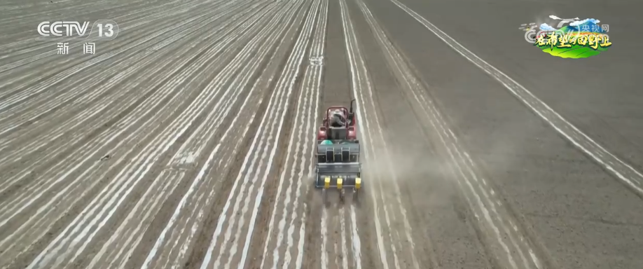 
北京大学第六医院黄牛代挂号电话票贩子号贩子网上预约挂号,住院检查加快,广袤田野生机无限 科技显身手为粮食稳产增收筑牢根基