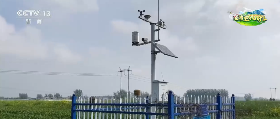 
北京大学第六医院黄牛代挂号电话票贩子号贩子网上预约挂号,住院检查加快,广袤田野生机无限 科技显身手为粮食稳产增收筑牢根基