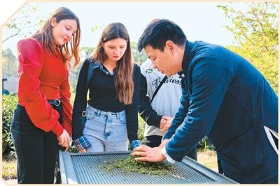 
天津各大医院黄牛代挂号电话票贩子号贩子网上预约挂号,住院检查加快,“新中式”，让世界看见魅力中国（国际论道）