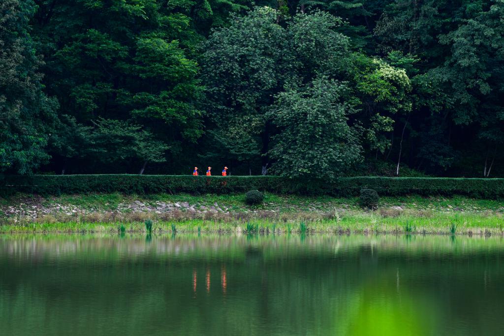
杭州市三医院黄牛代挂号电话票贩子号贩子网上预约挂号,住院检查加快,首席记者谈首季经济｜高原观“海”探寻生态经济密码