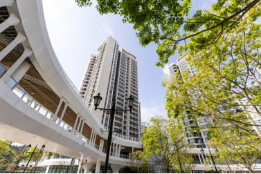 
上海儿科医院黄牛代挂号电话票贩子号贩子网上预约挂号,住院检查加快,横琴“澳门新街坊”已入住逾4000人