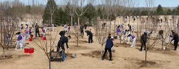 
江苏省肿瘤医院黄牛代挂号电话票贩子号贩子网上预约挂号,住院检查加快,微视频｜总书记与春天的绿色约定