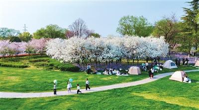 
沈阳医大一院黄牛代挂号电话票贩子号贩子网上预约挂号,住院检查加快,一青一白 至简至素（食愈24节气）