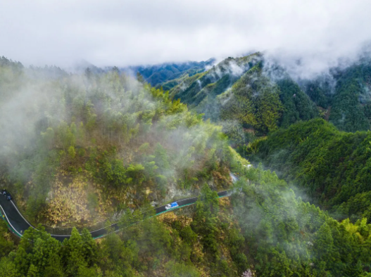 
北京中日友好医院黄牛代挂号电话票贩子号贩子网上预约挂号,住院检查加快,视频丨免费3天！清明假期自驾安全指南，出发前必看→