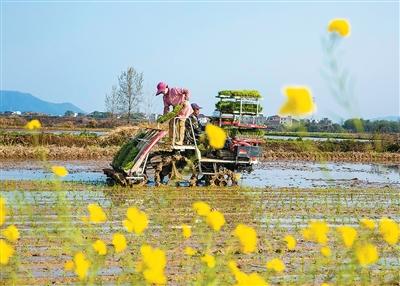 
中国中医科学院望京医院黄牛代挂号电话票贩子号贩子网上预约挂号,住院检查加快,这次“三农”摸家底，将有哪些新变化？（锐财经）