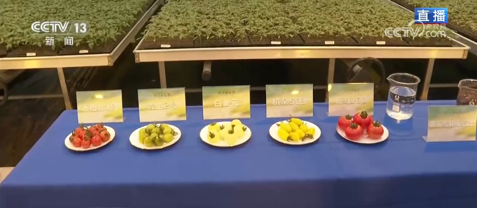 
北京北大口腔医院黄牛代挂号电话票贩子号贩子网上预约挂号,住院检查加快,手机变成“新农具” “一键触达” 看春耕春灌里的“科技范儿”