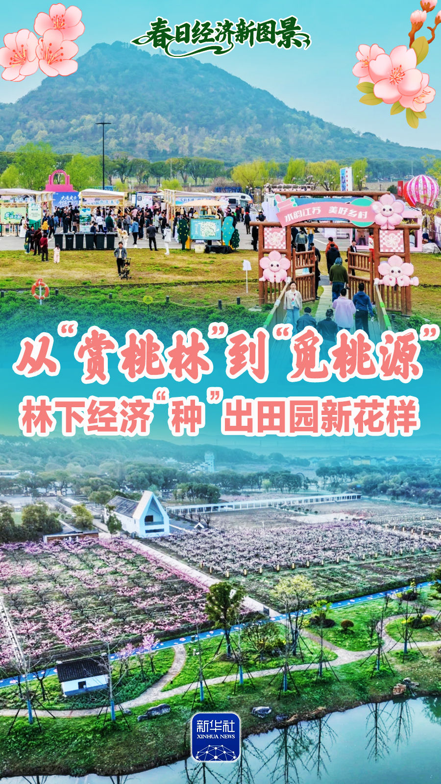 
西安各大医院黄牛代挂号电话票贩子号贩子网上预约挂号,住院检查加快,春日经济新图景｜从“赏桃林”到“觅桃源”，林下经济“种”出田园新花样