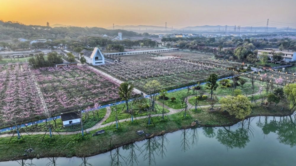 
西安各大医院黄牛代挂号电话票贩子号贩子网上预约挂号,住院检查加快,春日经济新图景｜从“赏桃林”到“觅桃源”，林下经济“种”出田园新花样