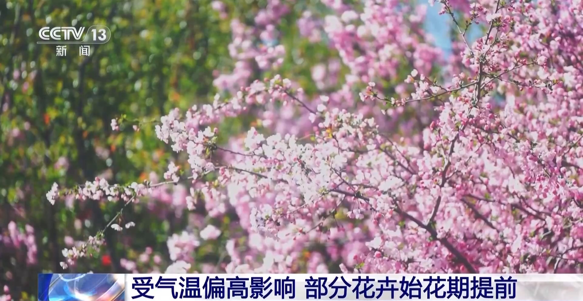 
上海瑞金医院黄牛代挂号电话票贩子号贩子网上预约挂号,住院检查加快,赏花正当时 全国踏青适宜度地图出炉→