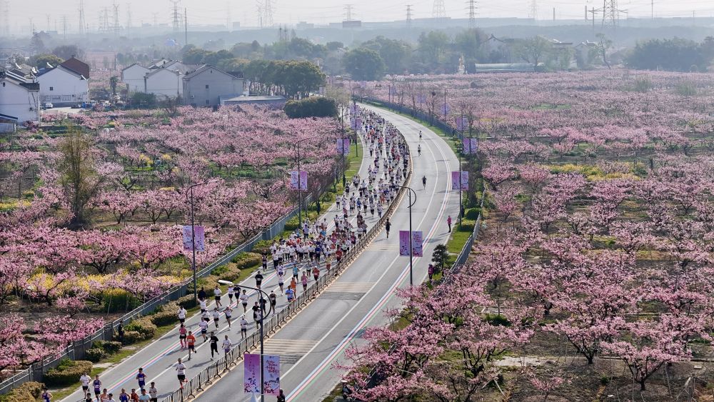 
西安各大医院黄牛代挂号电话票贩子号贩子网上预约挂号,住院检查加快,春日经济新图景｜从“赏桃林”到“觅桃源”，林下经济“种”出田园新花样