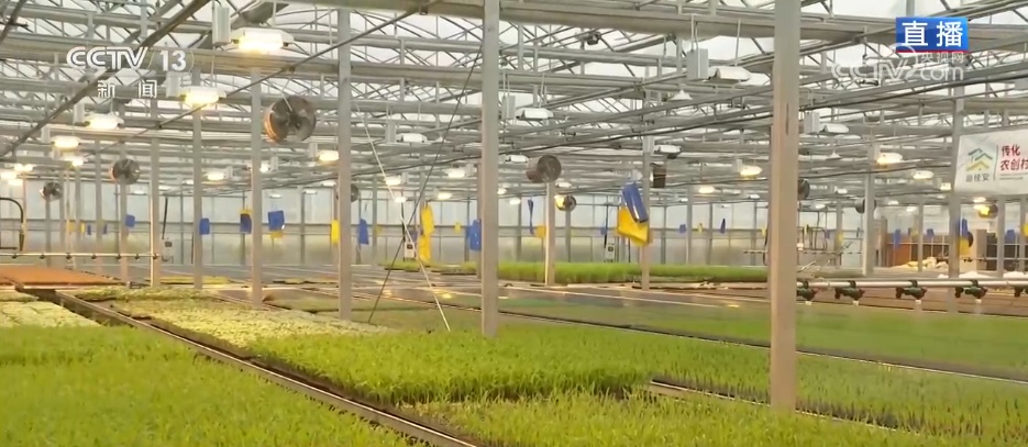 
北京北大口腔医院黄牛代挂号电话票贩子号贩子网上预约挂号,住院检查加快,手机变成“新农具” “一键触达” 看春耕春灌里的“科技范儿”