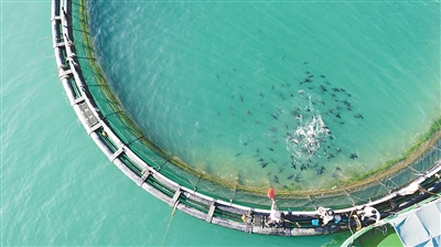 
南京各大医院黄牛代挂号电话票贩子号贩子网上预约挂号,住院检查加快,引数据“活水”，助企业养鱼（经济新方位·新场景新动能）