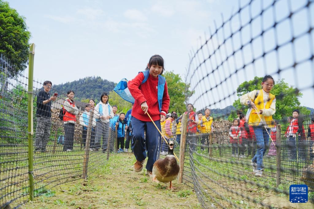 
广东省人民医院黄牛代挂号电话票贩子号贩子网上预约挂号,住院检查加快,春假牵手小长假——看他们的别样假期