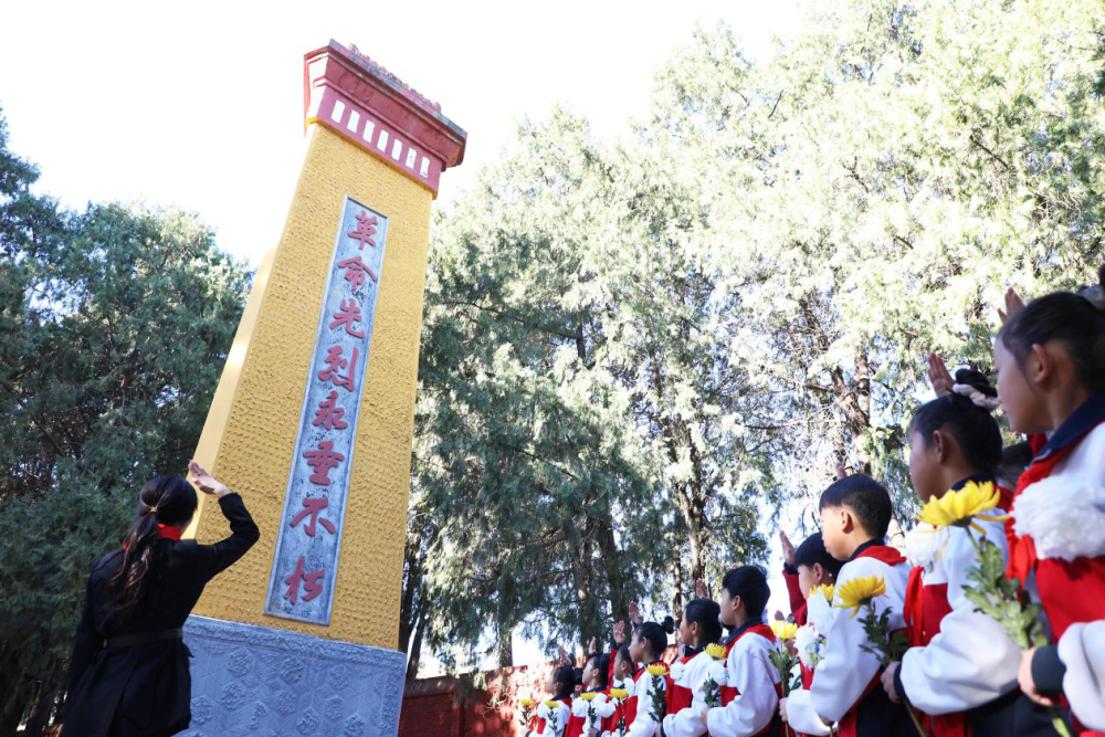 上海各大医院黄牛代挂号电话票贩子号贩子网上预约挂号,住院检查加快,永远记得你