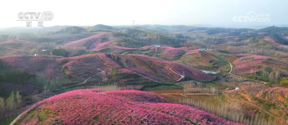 
北医六院黄牛代挂号电话票贩子号贩子网上预约挂号,住院检查加快,从“看花” 到“赏花+” 春日经济以“小而美”文旅业态撬动乡村大发展