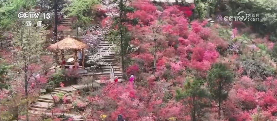 
北医六院黄牛代挂号电话票贩子号贩子网上预约挂号,住院检查加快,从“看花” 到“赏花+” 春日经济以“小而美”文旅业态撬动乡村大发展