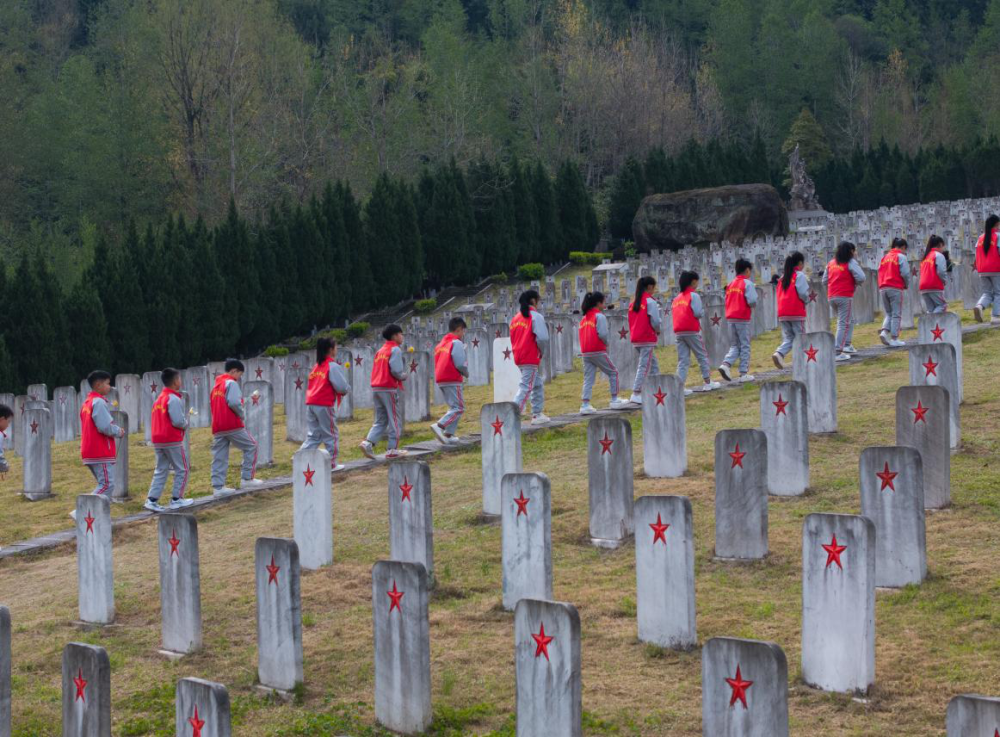 上海各大医院黄牛代挂号电话票贩子号贩子网上预约挂号,住院检查加快,永远记得你