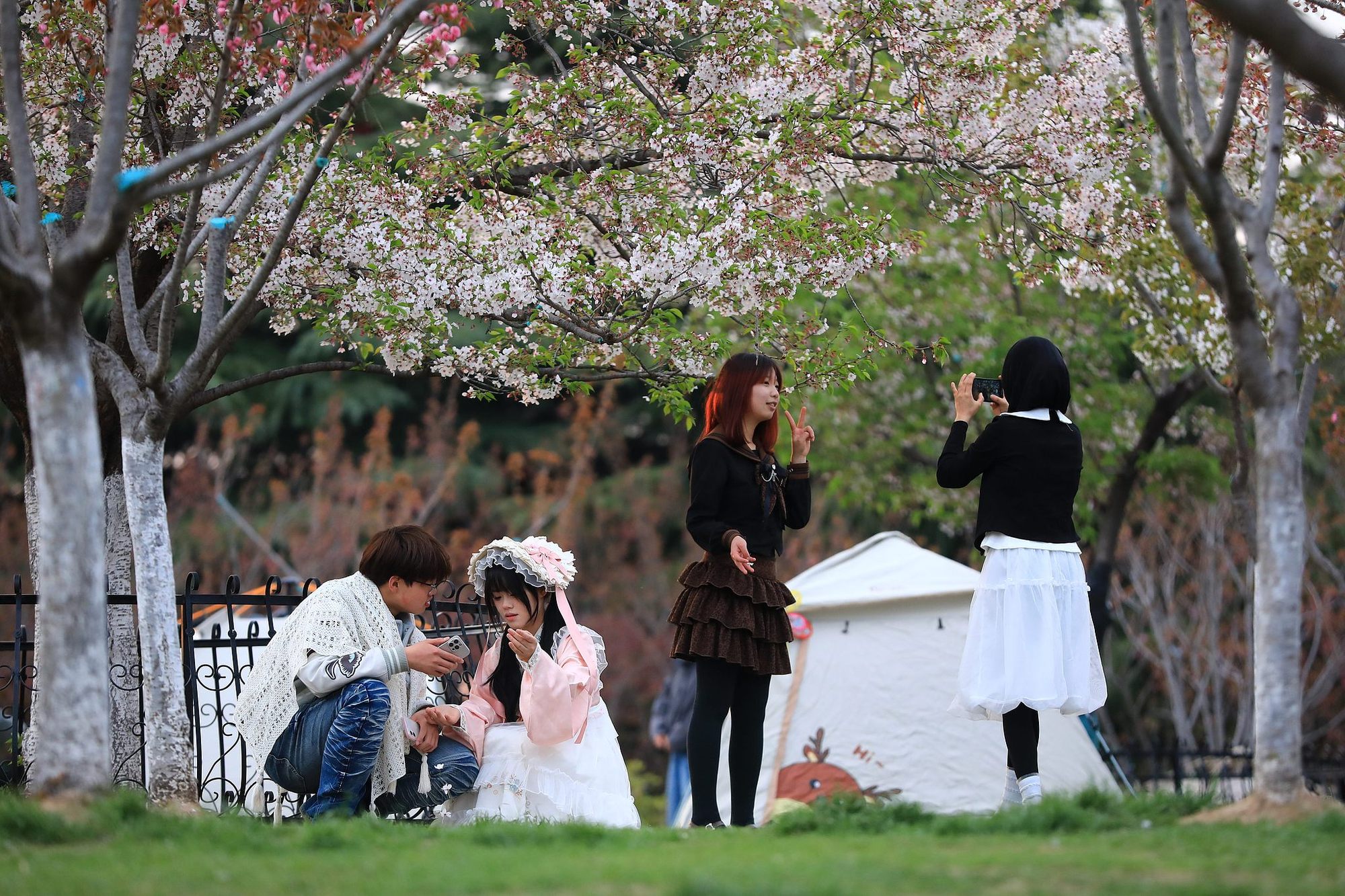 
北大口腔医院黄牛代挂号电话票贩子号贩子网上预约挂号,住院检查加快,晶采观察丨 “微度假”释放多维消费潜能 “家门口”也有诗和远方