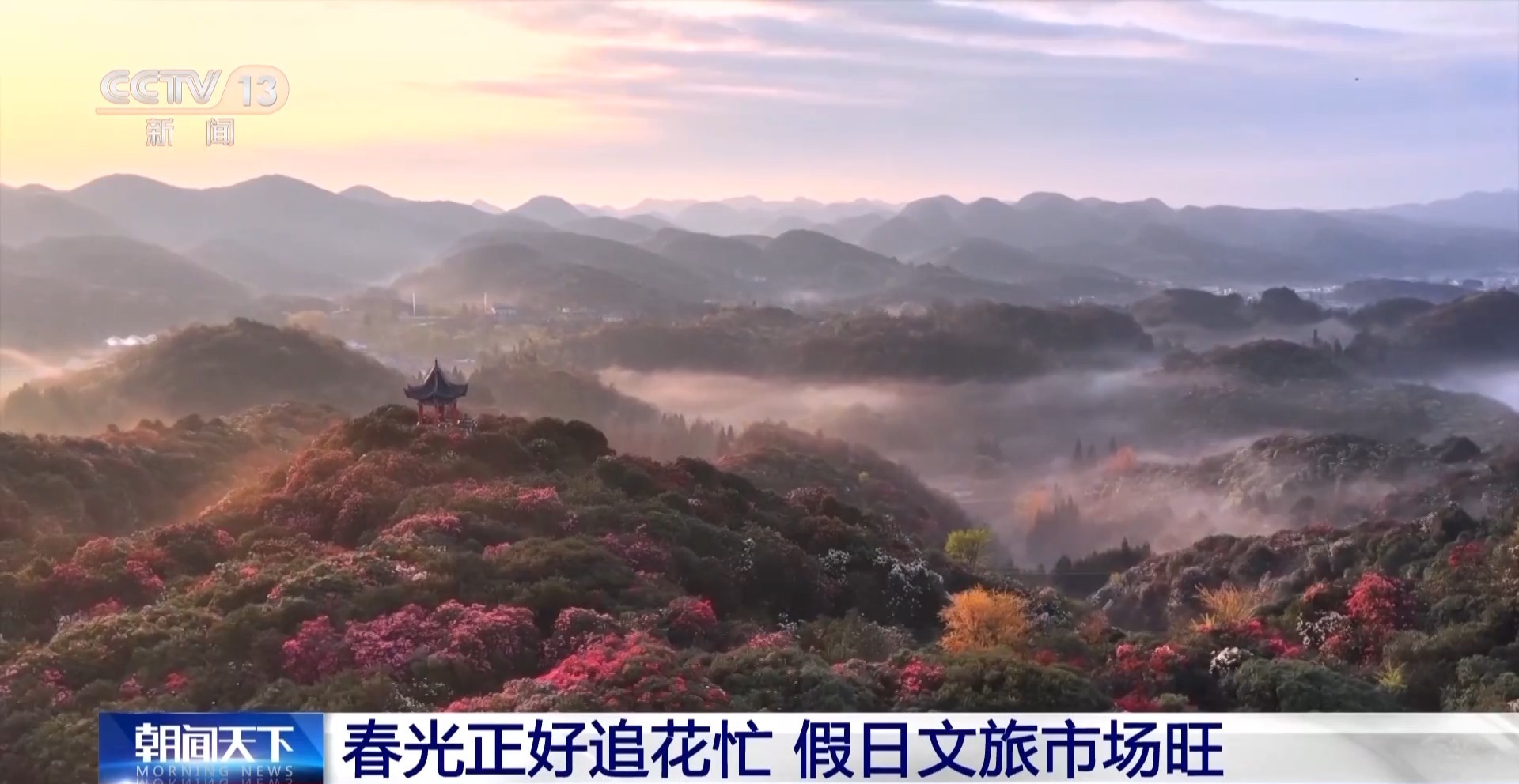 
沈阳医大二院黄牛代挂号电话票贩子号贩子网上预约挂号,住院检查加快,假日“追花地图”热力全开 赏花游带火春日经济