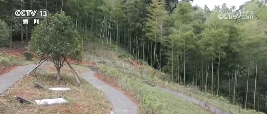 长沙各大医院黄牛代挂号电话票贩子号贩子网上预约挂号,住院检查加快,“墓隐于林、碑融于景” 节地生态葬数量逐年增多