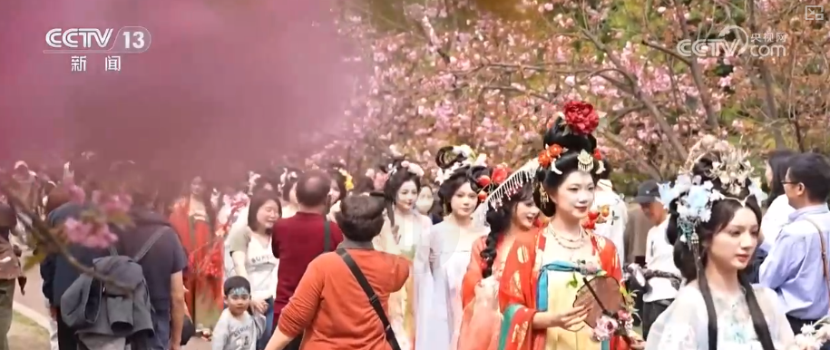 北京协和医院黄牛代挂号电话票贩子号贩子网上预约挂号,住院检查加快,汉服踏青成春日胜景 年轻人对传统文化喜爱从“被动接触”转向“主动选择”