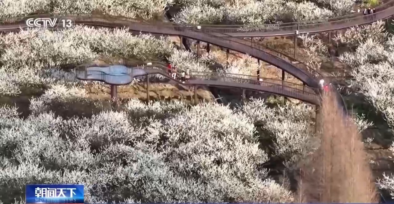 
西安各大医院黄牛代挂号电话票贩子号贩子网上预约挂号,住院检查加快,沉浸式科普+儿童友好服务 假期带娃这样玩→