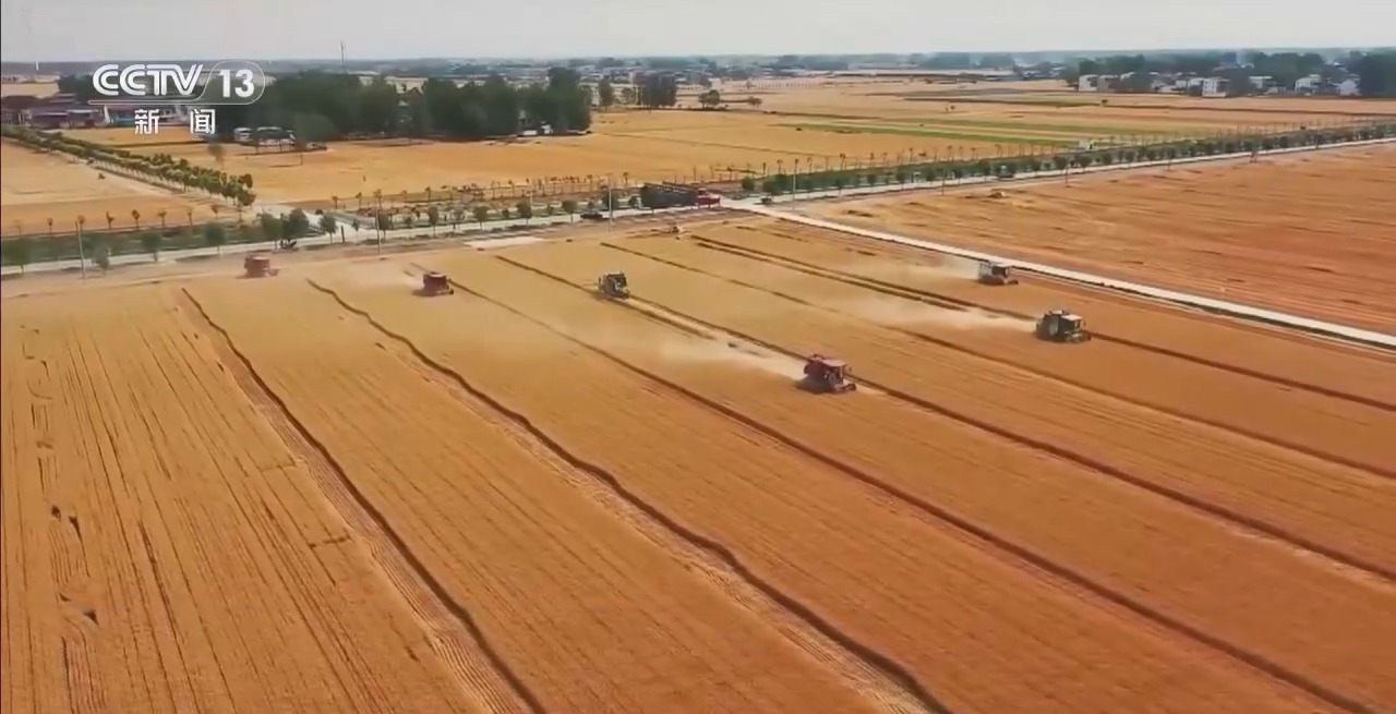 
南京中科研究所黄牛代挂号电话票贩子号贩子网上预约挂号,住院检查加快,“清明前后，种瓜点豆” 解锁清明民谚里的科学密码