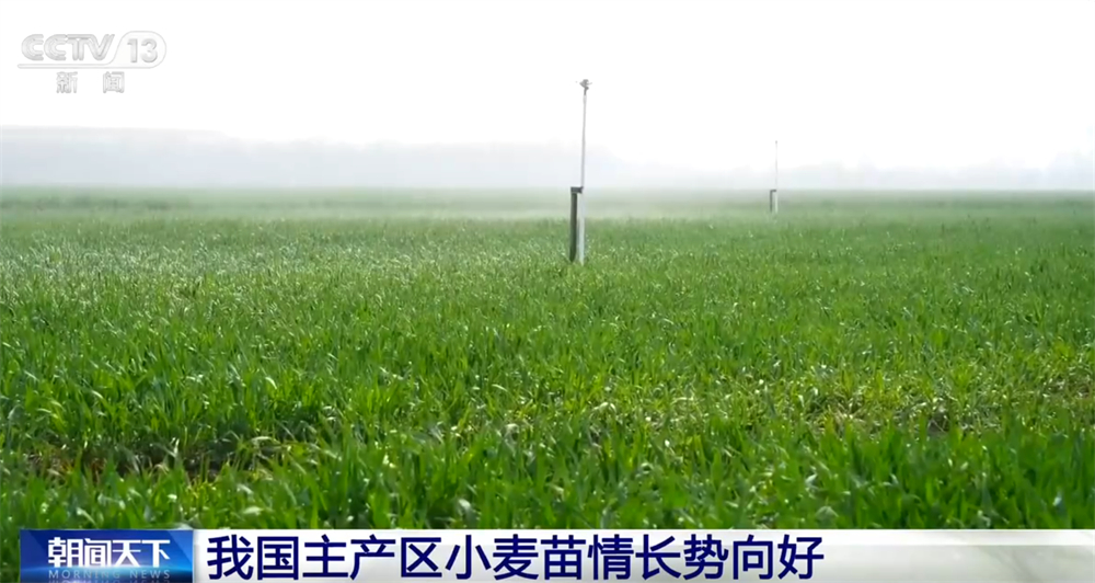 
南京明基医院黄牛代挂号电话票贩子号贩子网上预约挂号,住院检查加快,农业“新技术+新装备”勾勒绚丽“科技春耕图” 传统农耕图景变成智慧农业现场