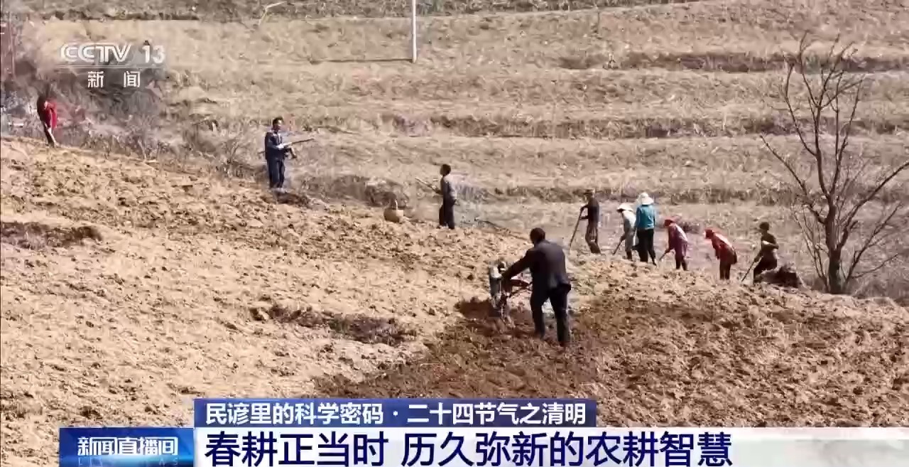 
南京中科研究所黄牛代挂号电话票贩子号贩子网上预约挂号,住院检查加快,“清明前后，种瓜点豆” 解锁清明民谚里的科学密码