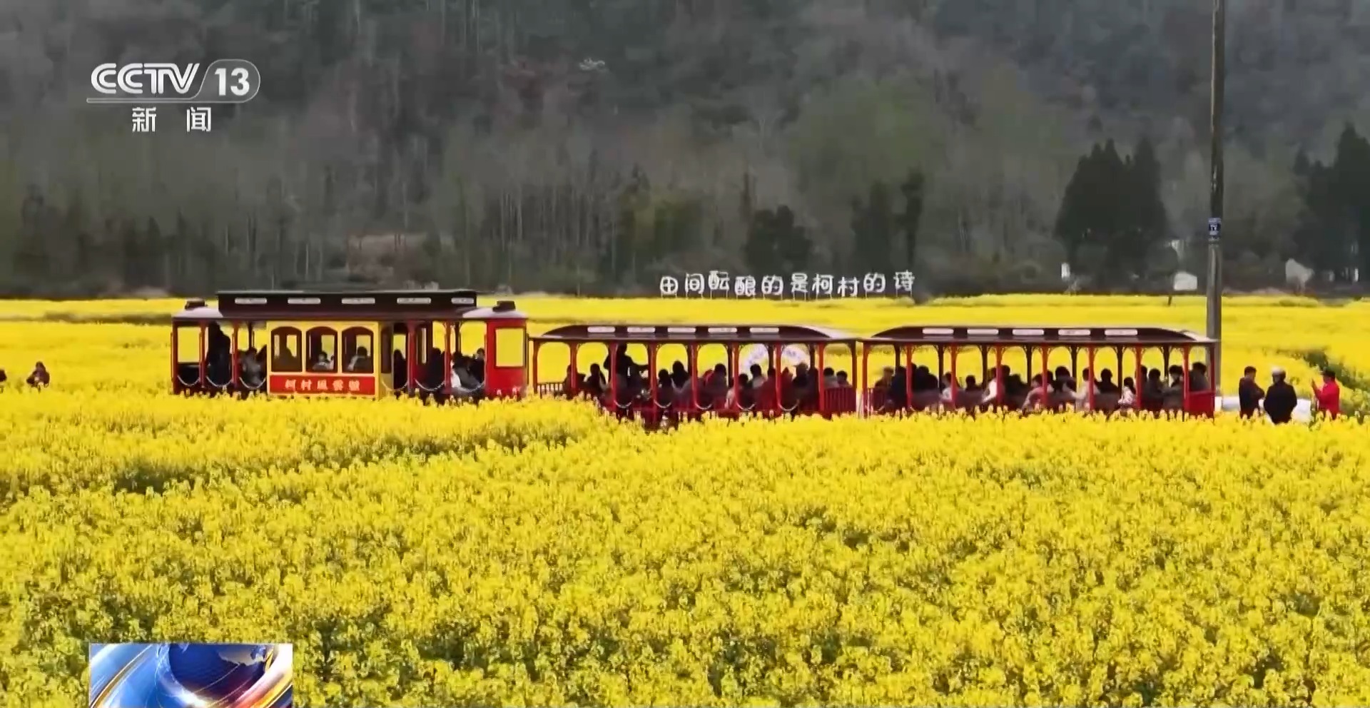 
沈阳医大二院黄牛代挂号电话票贩子号贩子网上预约挂号,住院检查加快,假日“追花地图”热力全开 赏花游带火春日经济