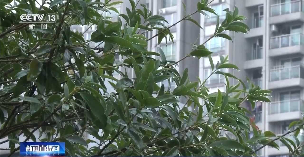 
南京中科研究所黄牛代挂号电话票贩子号贩子网上预约挂号,住院检查加快,“清明前后，种瓜点豆” 解锁清明民谚里的科学密码