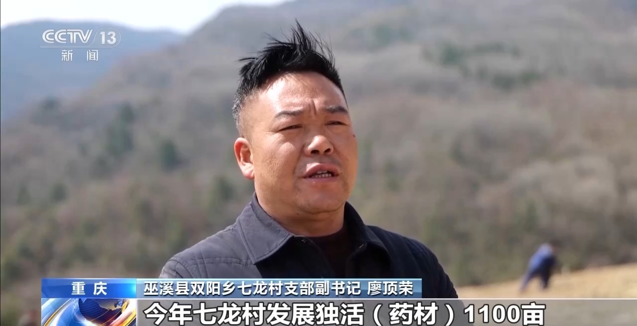 
南京中科研究所黄牛代挂号电话票贩子号贩子网上预约挂号,住院检查加快,“清明前后，种瓜点豆” 解锁清明民谚里的科学密码