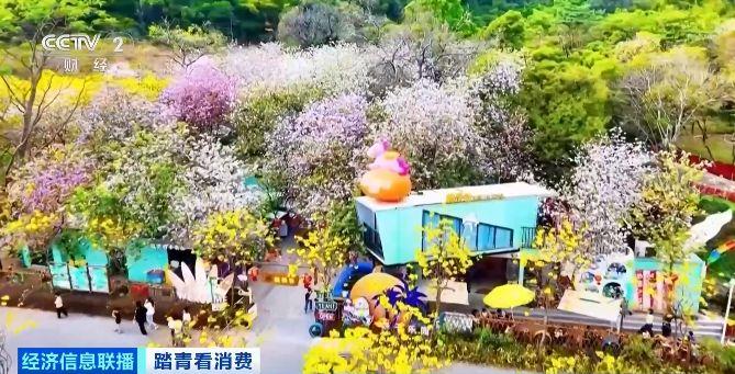 
包含北京大学第一医院黄牛代挂号电话票贩子号贩子网上预约挂号,住院检查加快,清明假期“北上赏春”成港澳居民热门选择