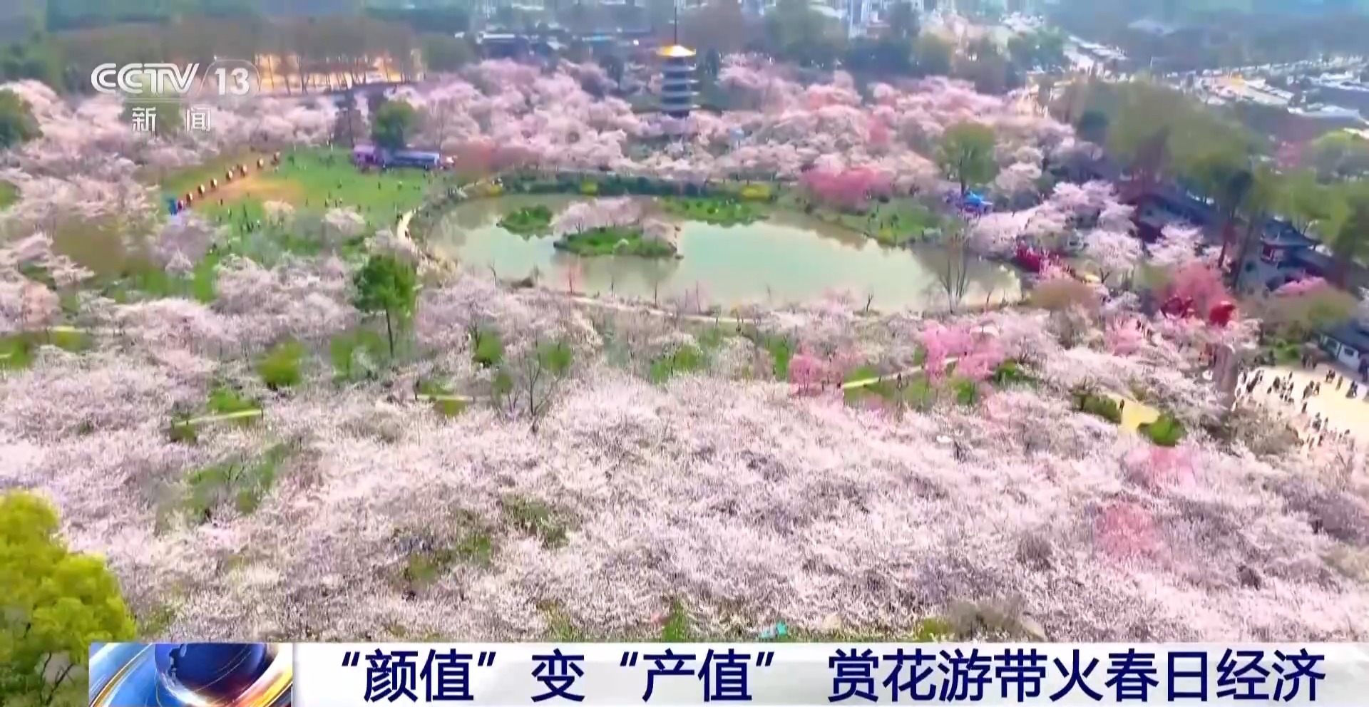 
沈阳医大二院黄牛代挂号电话票贩子号贩子网上预约挂号,住院检查加快,假日“追花地图”热力全开 赏花游带火春日经济