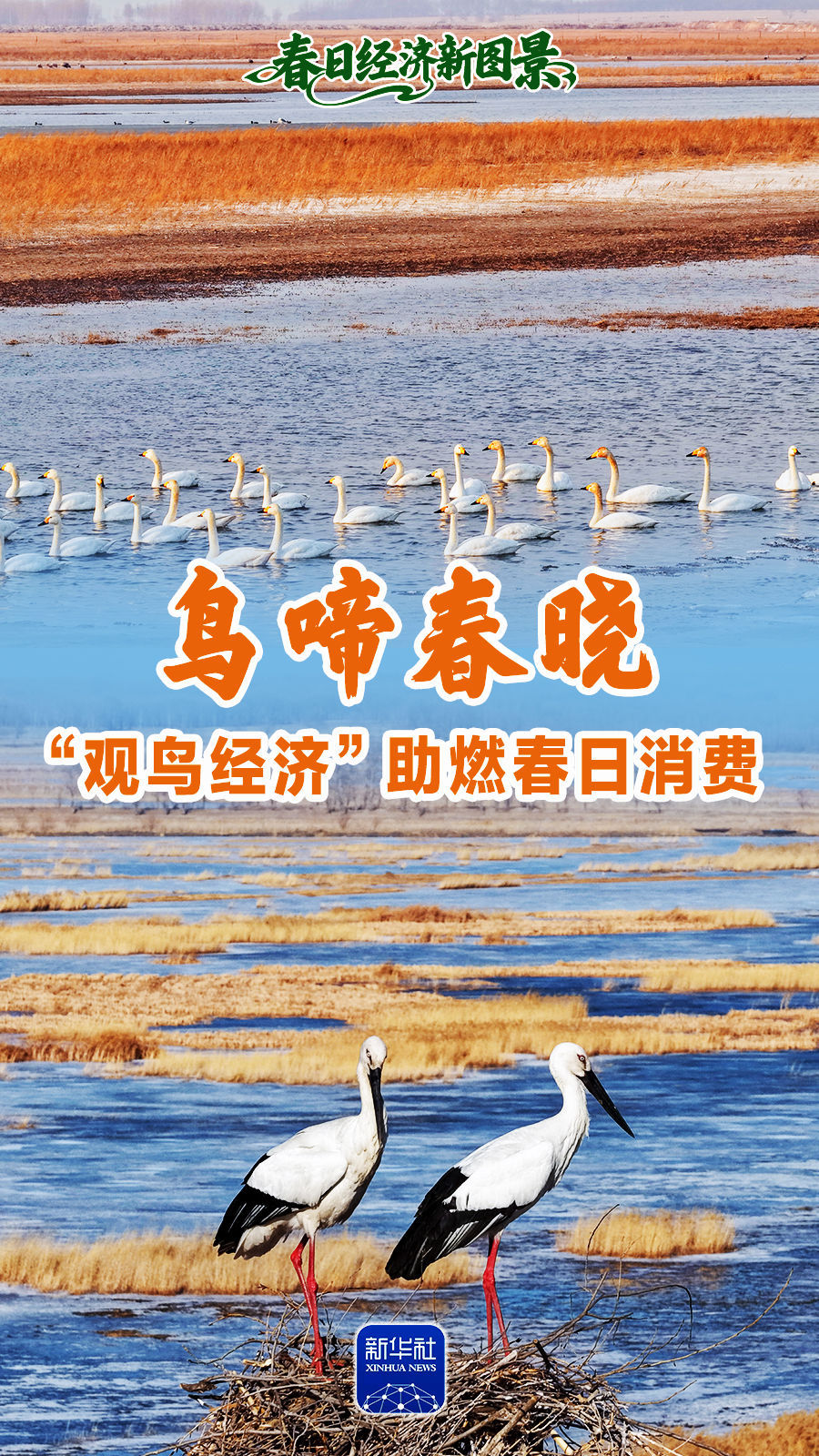 
中山一院黄牛代挂号电话票贩子号贩子网上预约挂号,住院检查加快,春日经济新图景｜鸟啼春晓，“观鸟经济”助燃春日消费